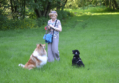 Tierpsychologin Dorothea Gawol mit ihren Hunden Chicco und Trixie