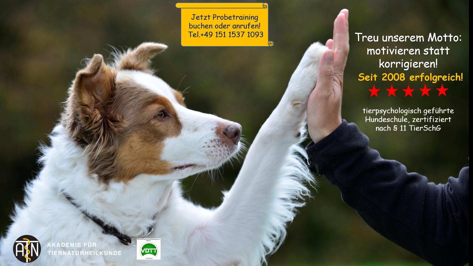 Hundetraining für Menschen mit Hund: motivieren statt korrigieren, mit Spaß für Mensch und Hund